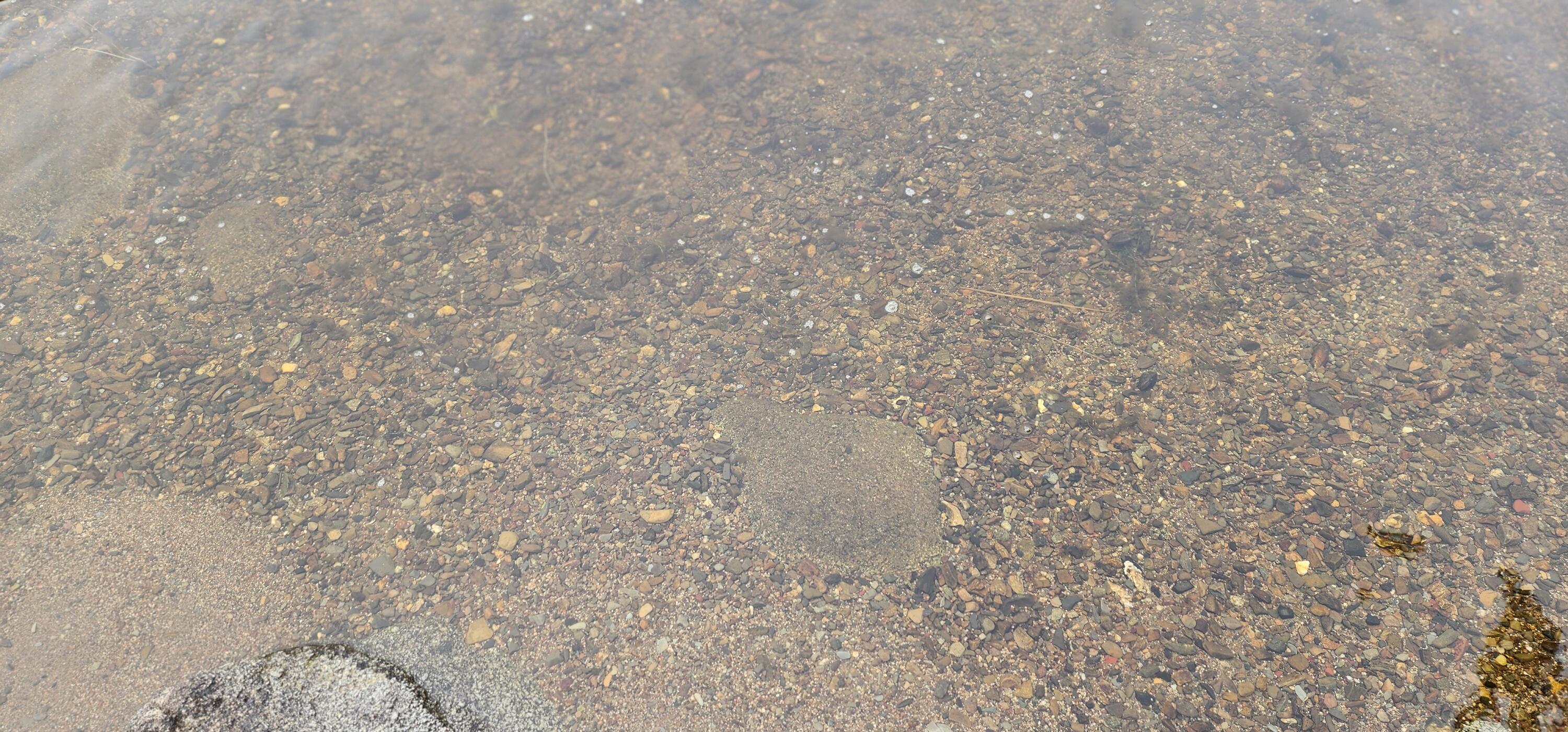 Off Dunphy Lane Island Falls, ME 04747 - Photo 11 of 16 20240815_095432