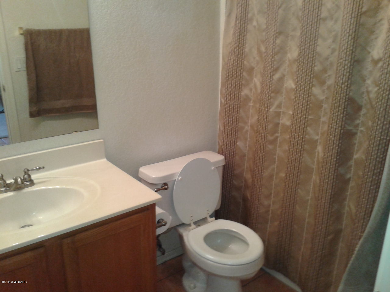 143 West Smoke Tree Road Gilbert, AZ 85233 - Photo 15 of 18 2013-02-15 11
