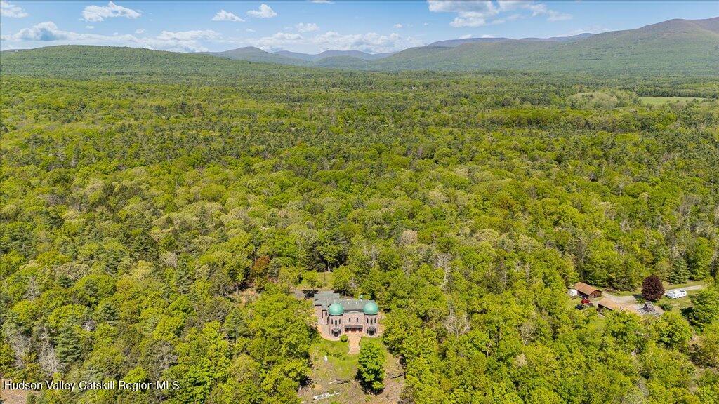 21 Mamoud Hills Road Kingston, NY 12401 - Photo 7 of 11 a view of an ocean