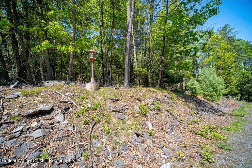 21 Mamoud Hills Road Kingston, NY 12401 - Photo 8 of 11 a view of a yard with trees