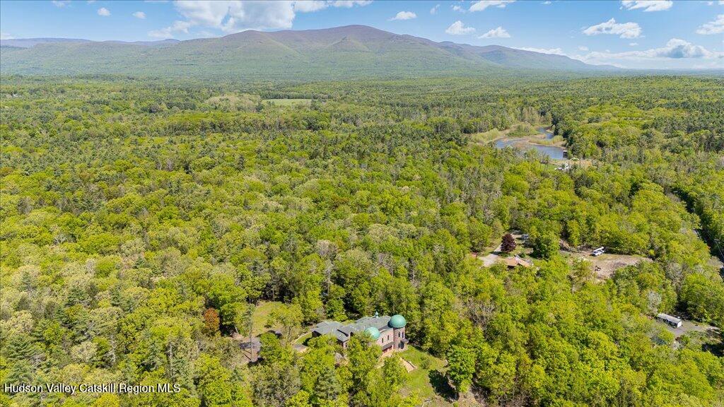 21 Mamoud Hills Road Kingston, NY 12401 - Photo 9 of 11 a view of a field with an ocean