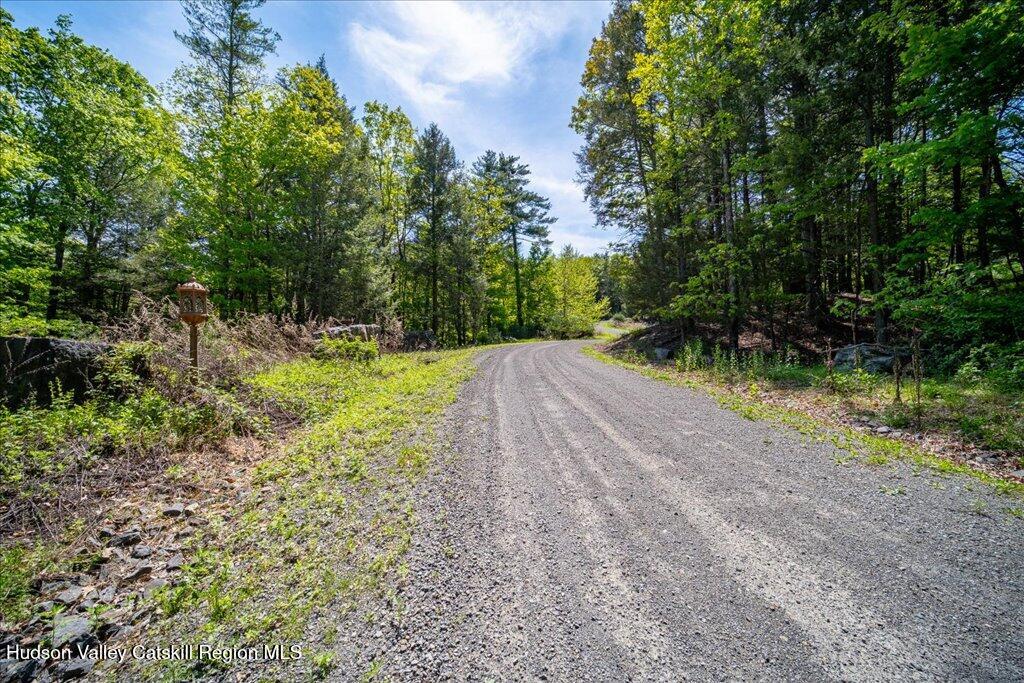 21 Mamoud Hills Road Kingston, NY 12401 - Photo 10 of 11 a view of a yard with plants and trees