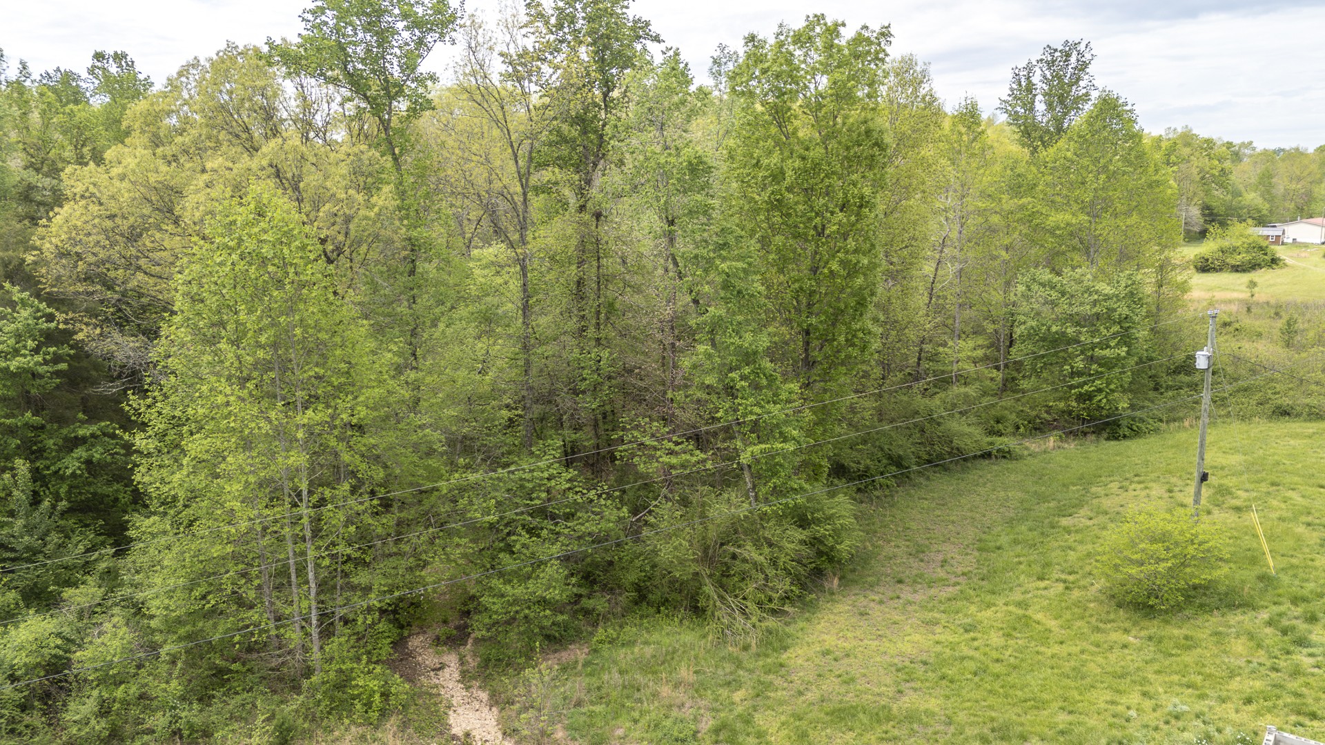 4242 Upper Factory Creek Road Waynesboro, TN 38485 - Photo 28 of 30 a view of a forest with a street
