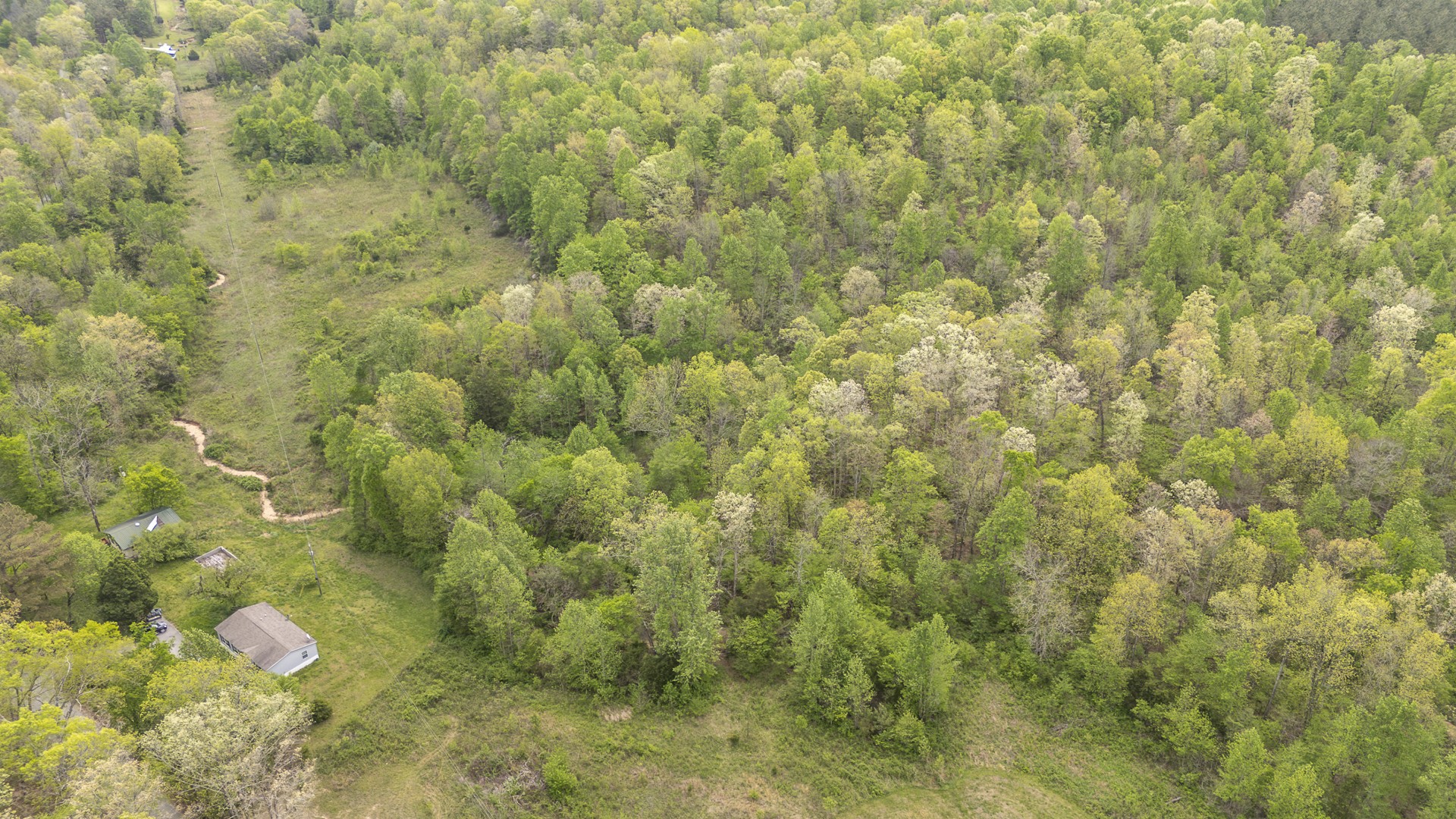 4242 Upper Factory Creek Road Waynesboro, TN 38485 - Photo 29 of 30