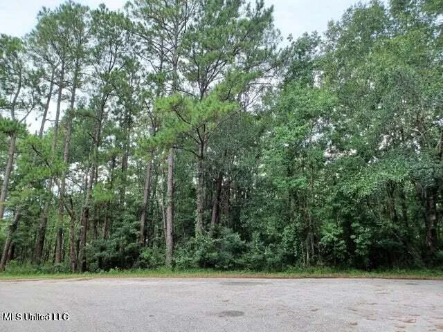 $12,500 | Lot 17 Honduras Drive, Gautier, MS 39553