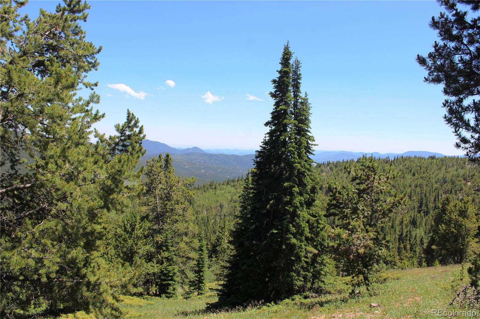 1595 Missouri Gulch Road Black Hawk, CO 80422 - Photo 17 of 49