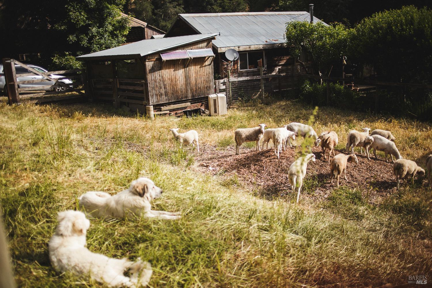 210 Rd To Ranch Nicasio, CA 94946 - Photo 2 of 18