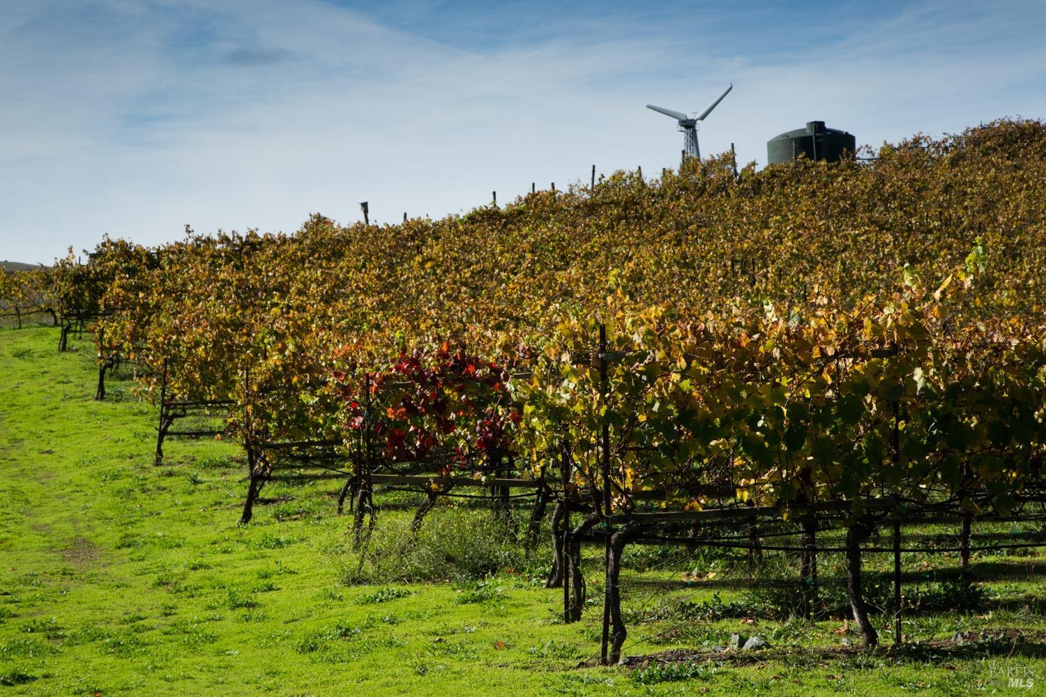210 Rd To Ranch Nicasio, CA 94946 - Photo 10 of 18