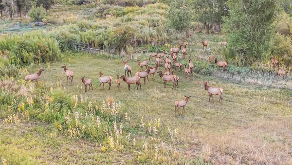 $30,000,000 | 41009 County Road 5, Meeker, CO 81641