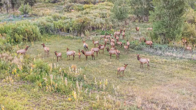 $30,000,000 | 41009 County Road 5, Meeker, CO 81641