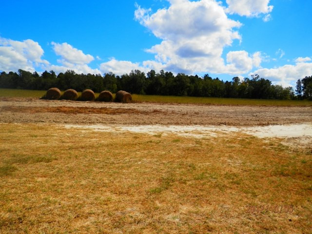 416 Shadow Lane Road Wagener, SC 29164 - Photo 3 of 8 Photo 3