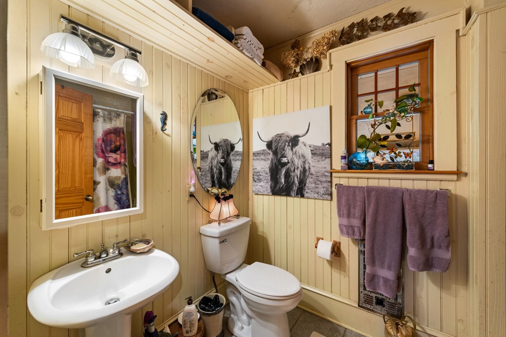 208 Bullen Gap Road Blue Ridge, GA 30513 - Photo 22 of 64