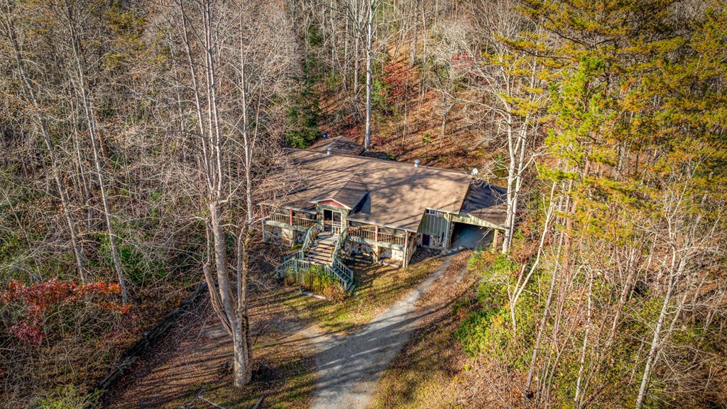 208 Bullen Gap Road Blue Ridge, GA 30513 - Photo 3 of 64