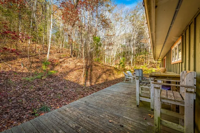 a view of a yard with trees