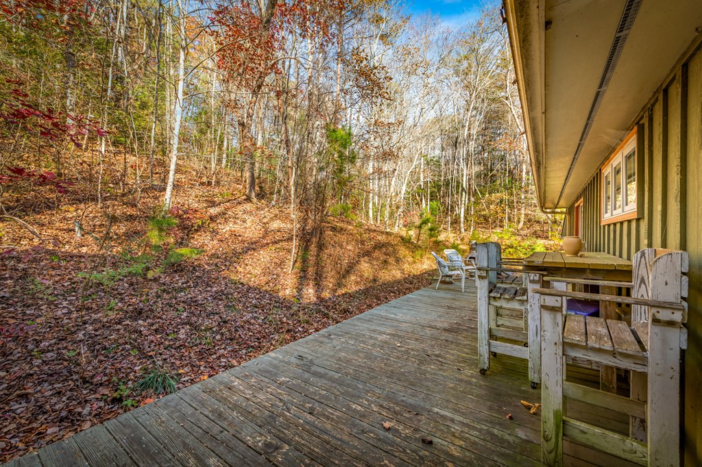 208 Bullen Gap Road Blue Ridge, GA 30513 - Photo 35 of 64