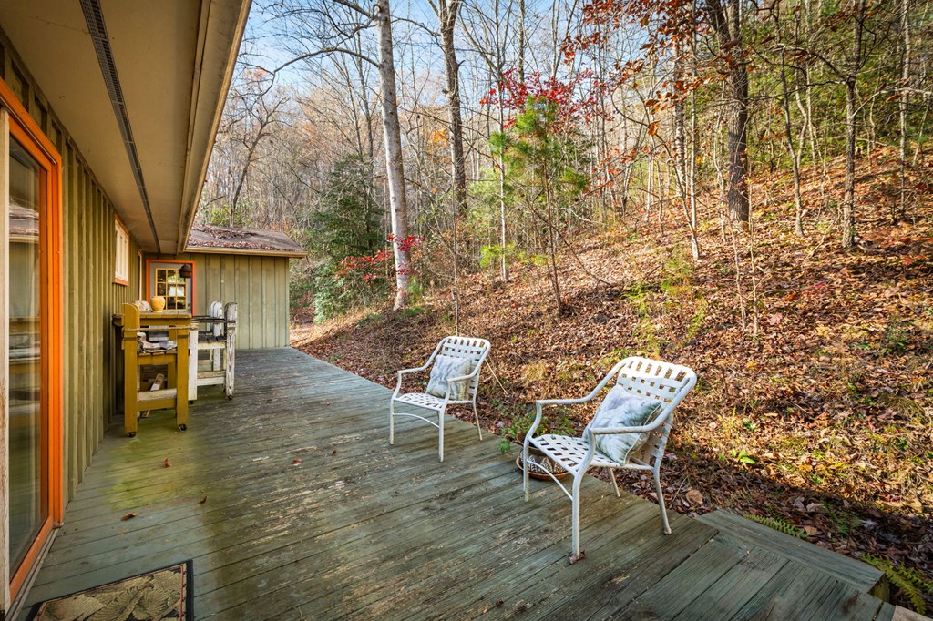 208 Bullen Gap Road Blue Ridge, GA 30513 - Photo 37 of 64