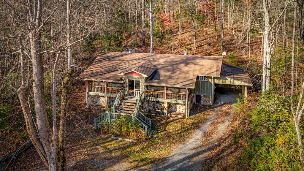 208 Bullen Gap Road Blue Ridge, GA 30513 - Photo 4 of 64