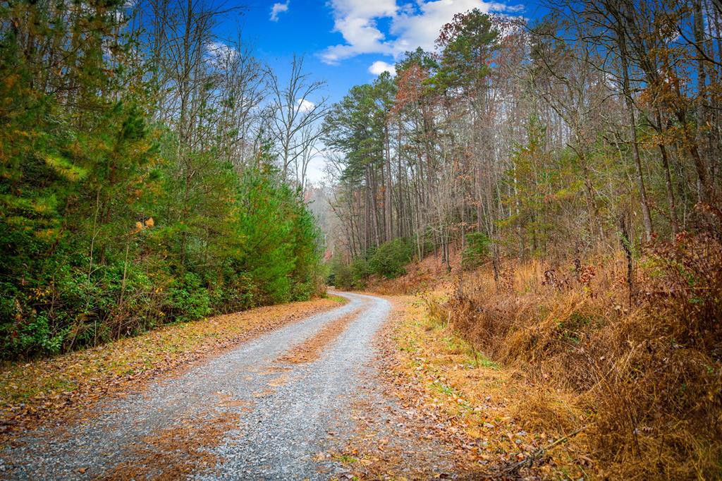 208 Bullen Gap Road Blue Ridge, GA 30513 - Photo 41 of 64