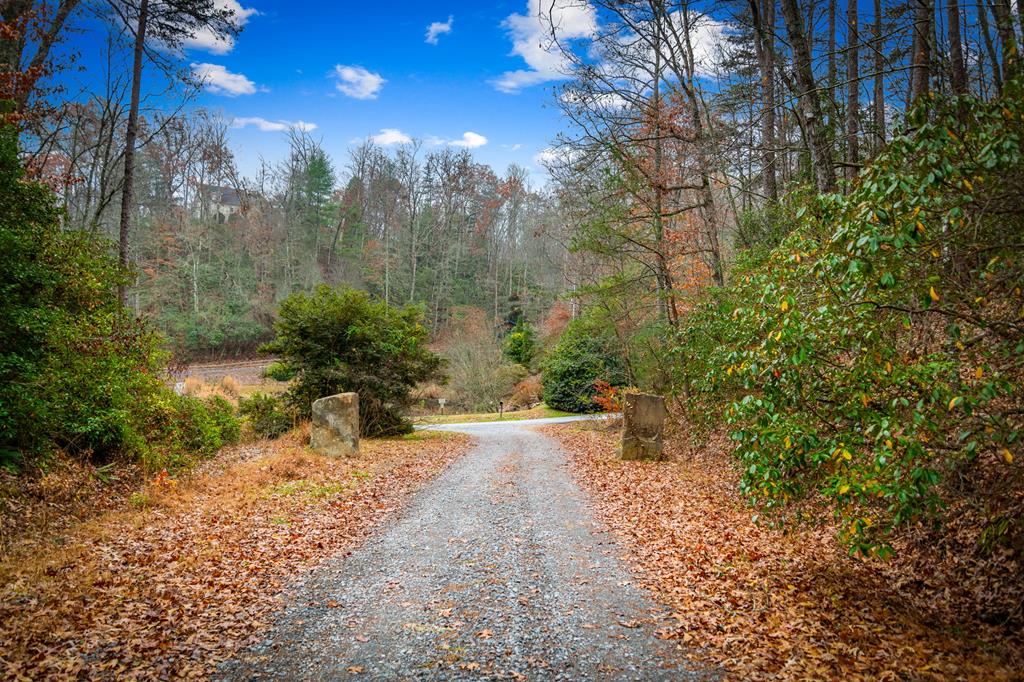 208 Bullen Gap Road Blue Ridge, GA 30513 - Photo 42 of 64