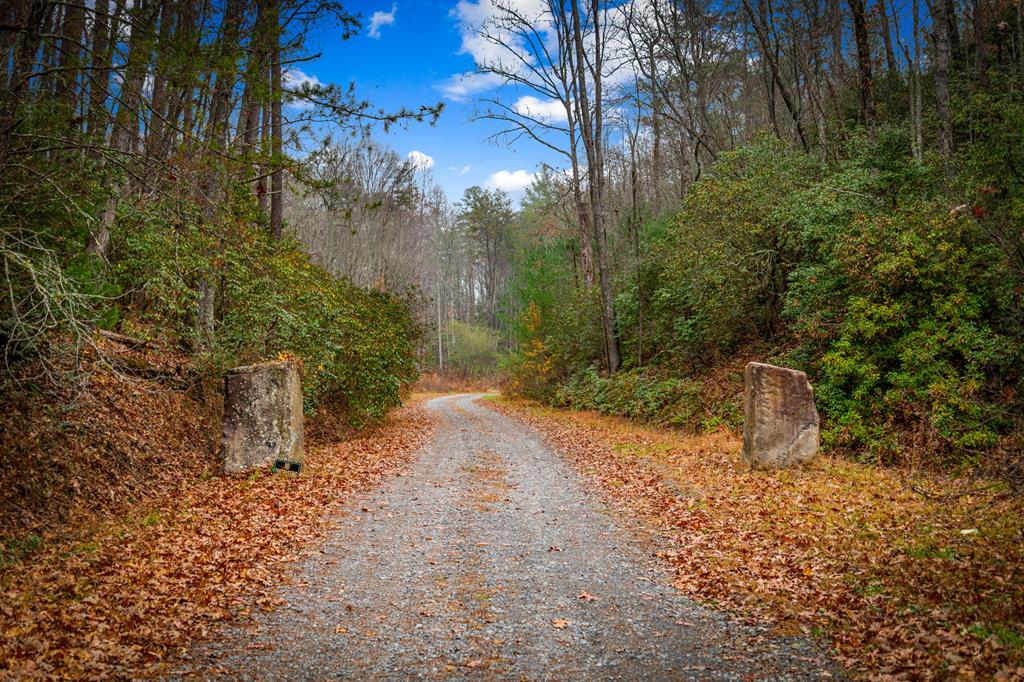 208 Bullen Gap Road Blue Ridge, GA 30513 - Photo 44 of 64