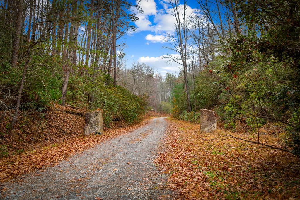 208 Bullen Gap Road Blue Ridge, GA 30513 - Photo 45 of 64