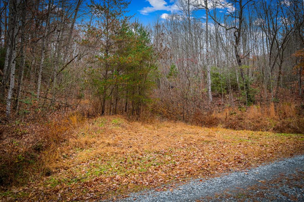 208 Bullen Gap Road Blue Ridge, GA 30513 - Photo 47 of 64