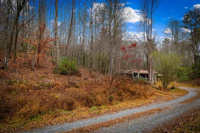 a backyard of a house with lots of trees