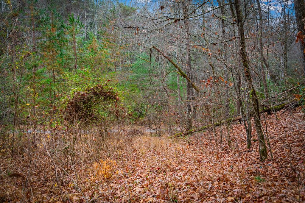 208 Bullen Gap Road Blue Ridge, GA 30513 - Photo 49 of 64