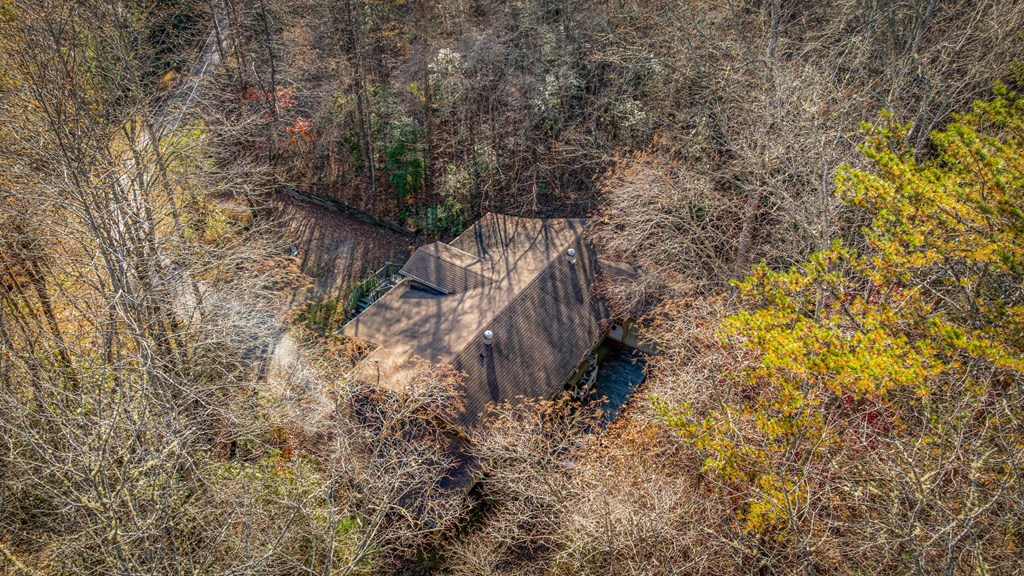 208 Bullen Gap Road Blue Ridge, GA 30513 - Photo 5 of 64