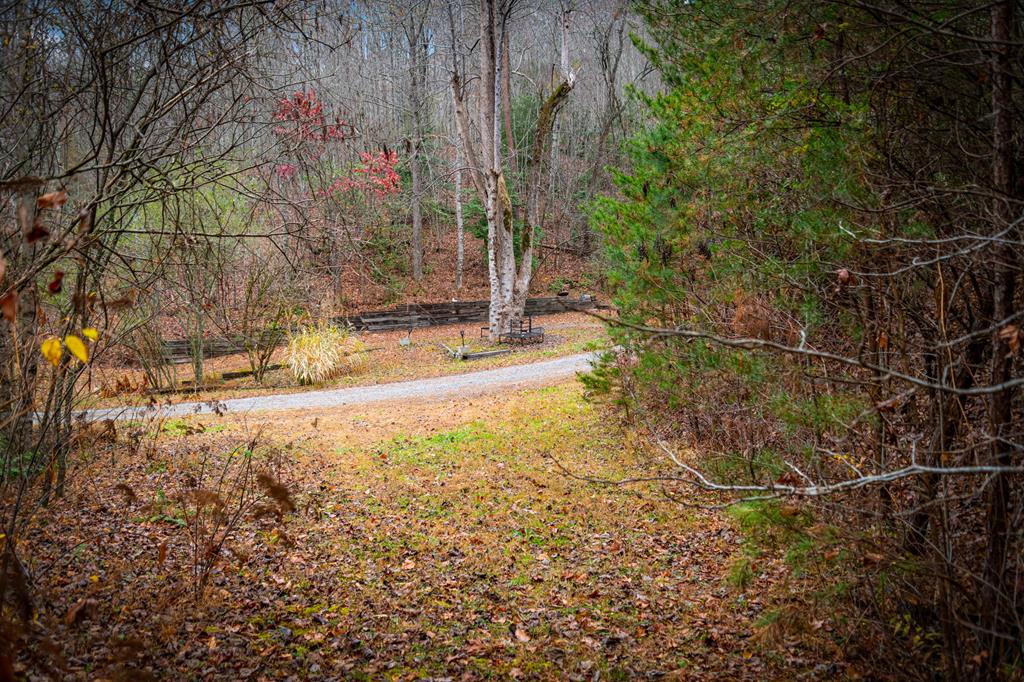 208 Bullen Gap Road Blue Ridge, GA 30513 - Photo 52 of 64