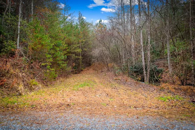 $650,000 | 208 Bullen Gap Road, Blue Ridge, GA 30513
