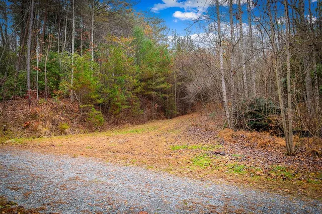 $650,000 | 208 Bullen Gap Road, Blue Ridge, GA 30513