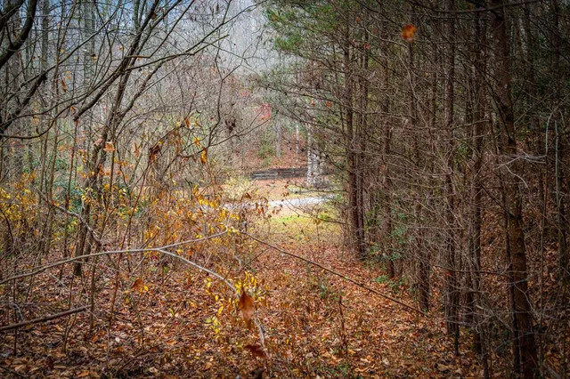 $650,000 | 208 Bullen Gap Road, Blue Ridge, GA 30513