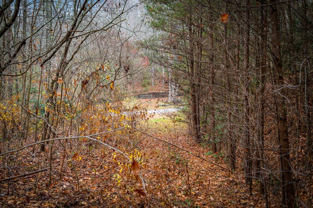 208 Bullen Gap Road Blue Ridge, GA 30513 - Photo 55 of 64
