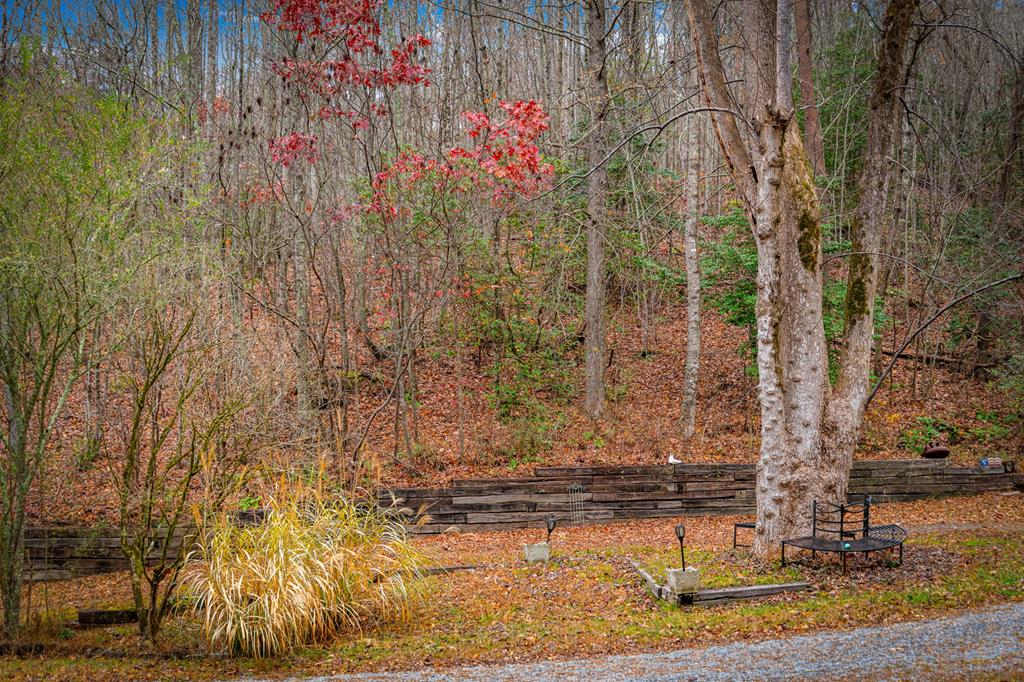 208 Bullen Gap Road Blue Ridge, GA 30513 - Photo 56 of 64