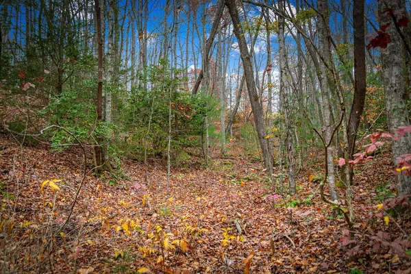 $649,900 | 208 Bullen Gap Road, Blue Ridge, GA 30513