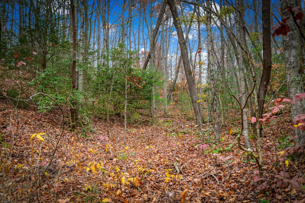 208 Bullen Gap Road Blue Ridge, GA 30513 - Photo 57 of 64