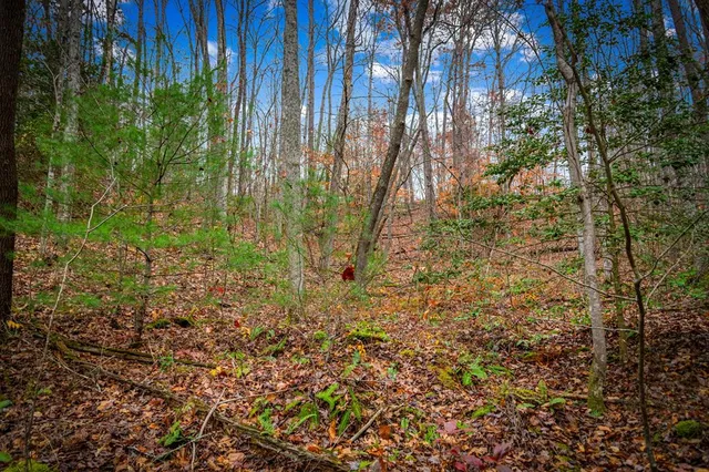 $650,000 | 208 Bullen Gap Road, Blue Ridge, GA 30513