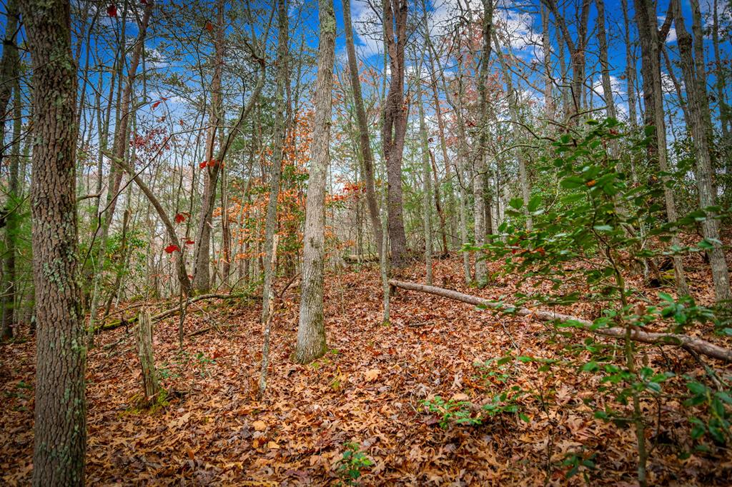 208 Bullen Gap Road Blue Ridge, GA 30513 - Photo 59 of 64