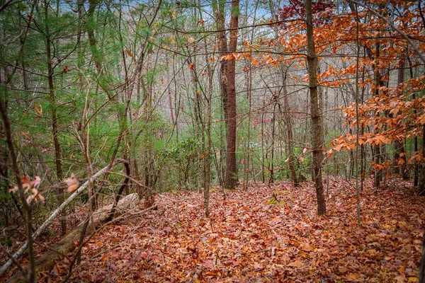 $649,900 | 208 Bullen Gap Road, Blue Ridge, GA 30513