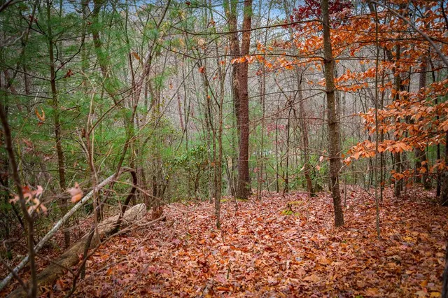 $650,000 | 208 Bullen Gap Road, Blue Ridge, GA 30513