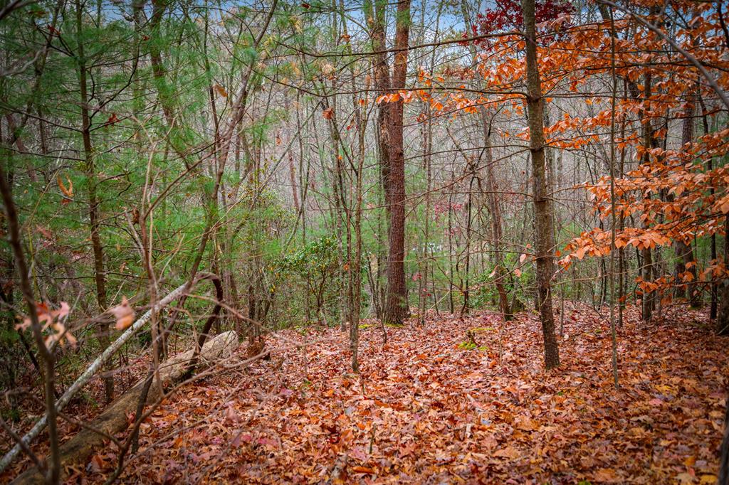 208 Bullen Gap Road Blue Ridge, GA 30513 - Photo 60 of 64