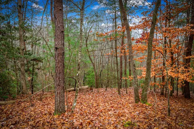 $650,000 | 208 Bullen Gap Road, Blue Ridge, GA 30513