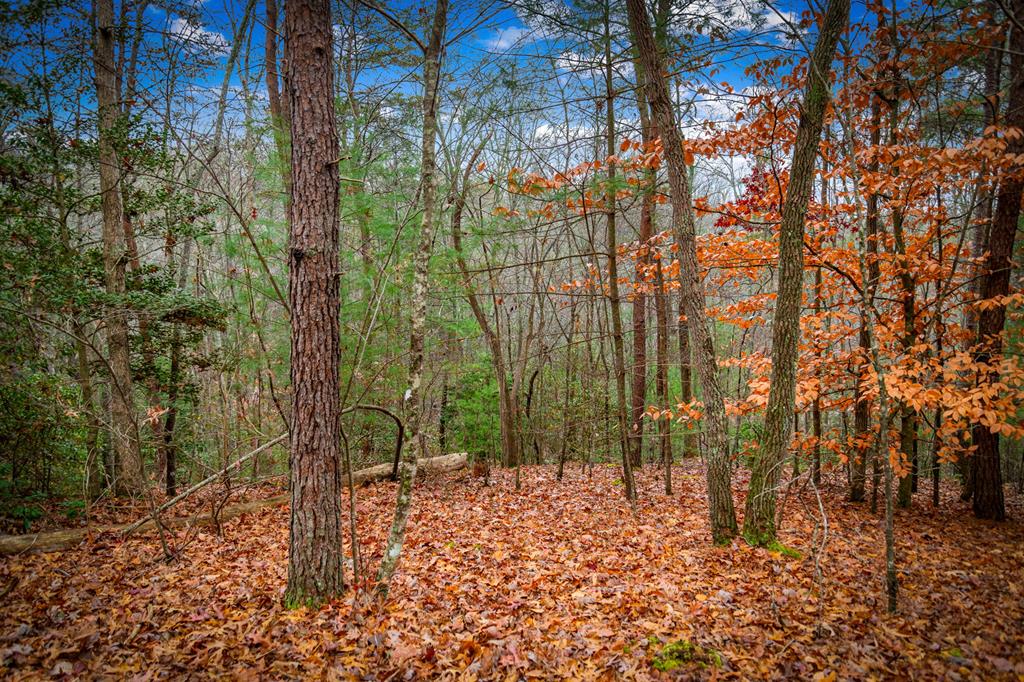208 Bullen Gap Road Blue Ridge, GA 30513 - Photo 61 of 64