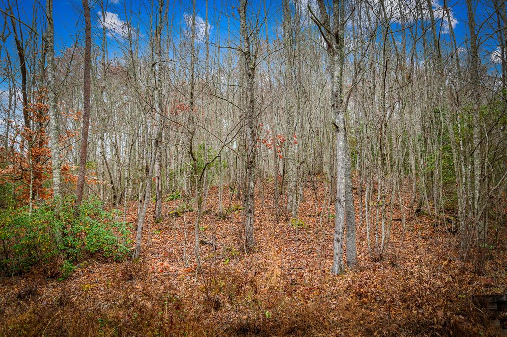 208 Bullen Gap Road Blue Ridge, GA 30513 - Photo 63 of 64