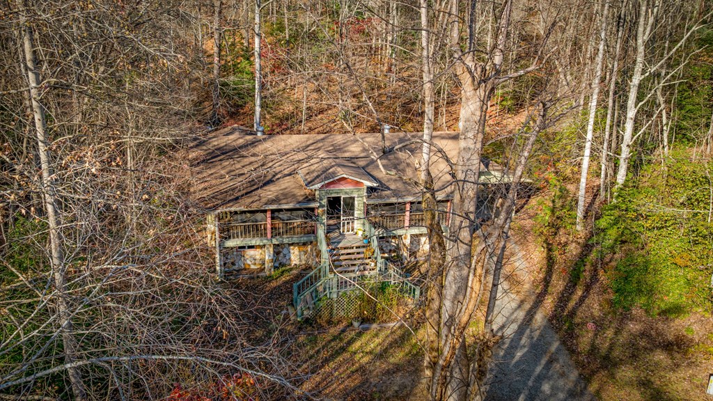 208 Bullen Gap Road Blue Ridge, GA 30513 - Photo 8 of 64