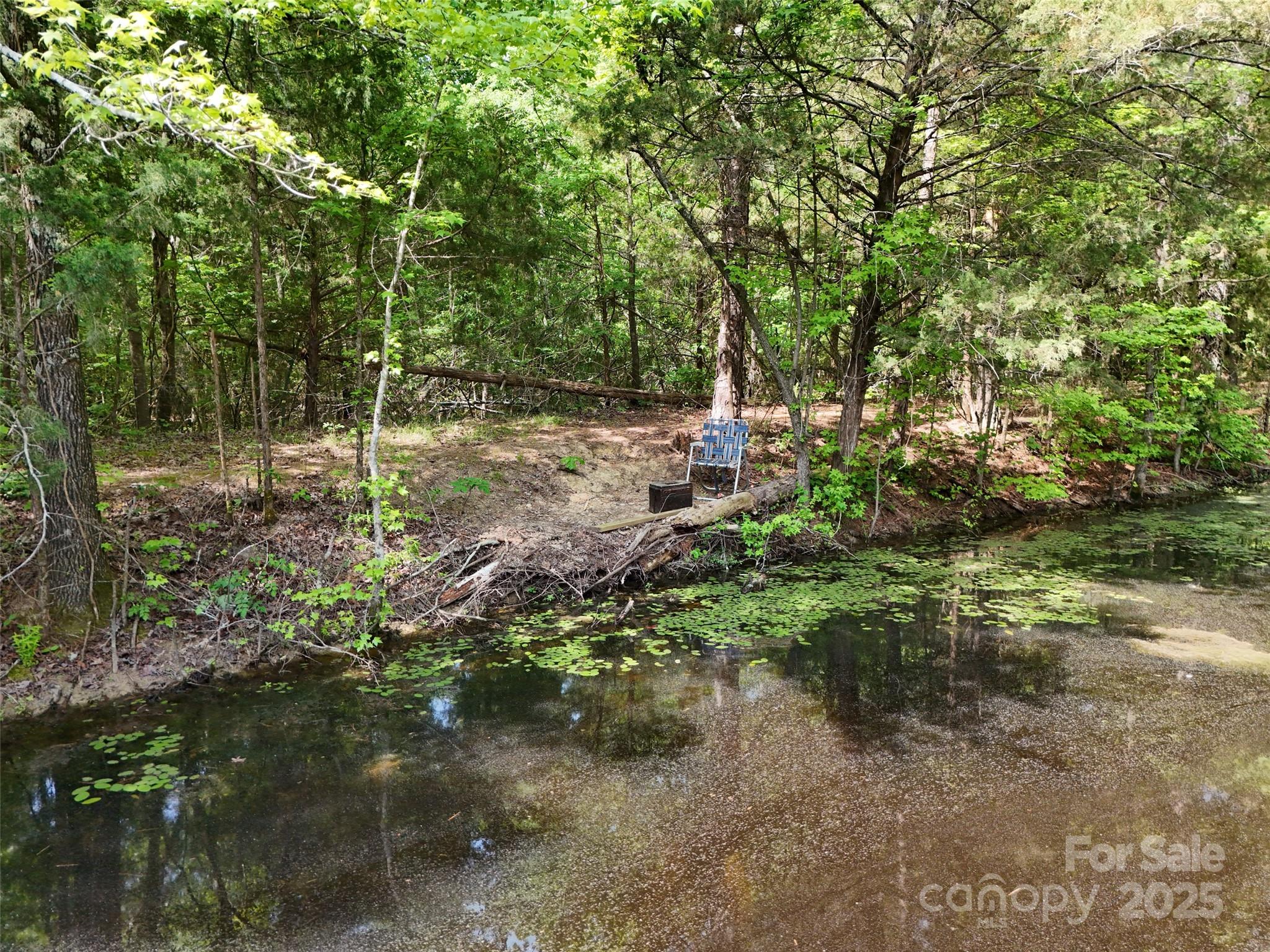475 McManus Road Pageland, SC 29728 - Photo 12 of 17 Gallery Image 12