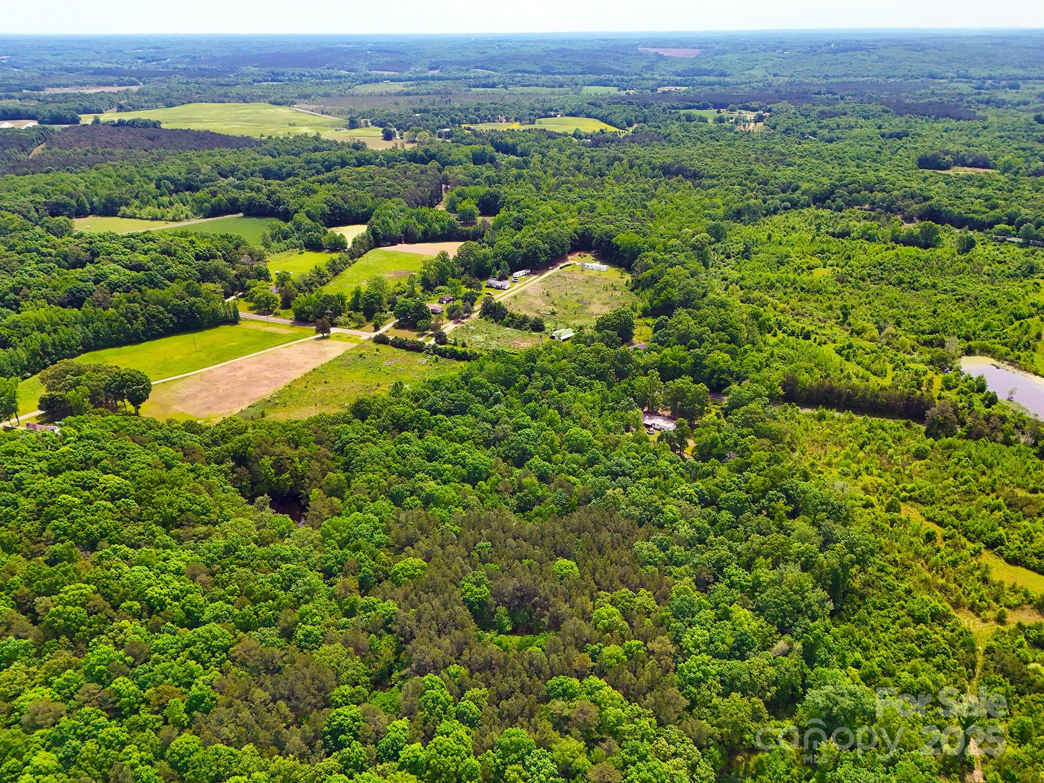 475 McManus Road Pageland, SC 29728 - Photo 4 of 17 Gallery Image 4
