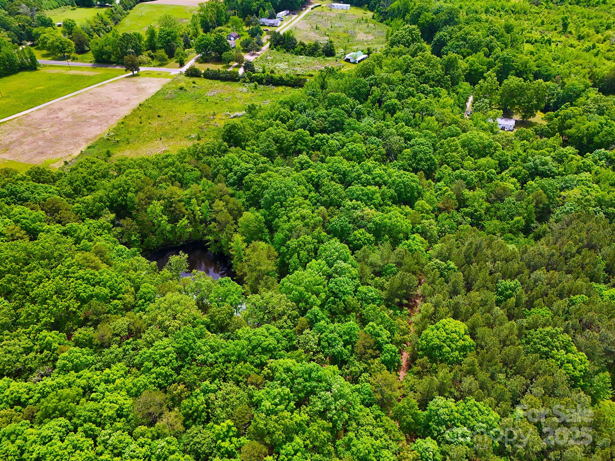 475 McManus Road Pageland, SC 29728 - Photo 5 of 17 Gallery Image 5