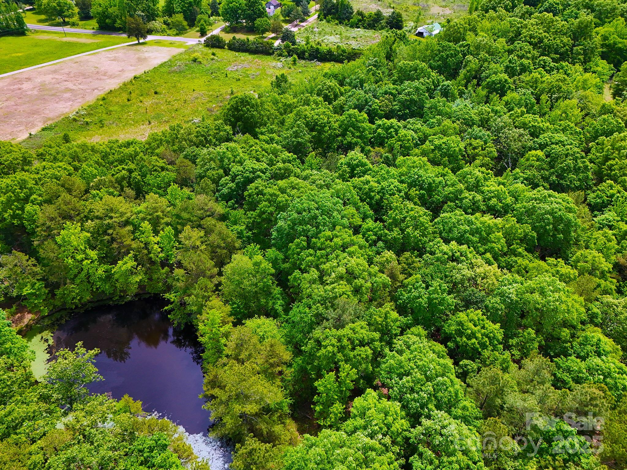 475 McManus Road Pageland, SC 29728 - Photo 6 of 17 Gallery Image 6